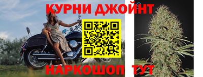 ешки Новозыбков