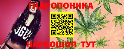 ешки Новозыбков
