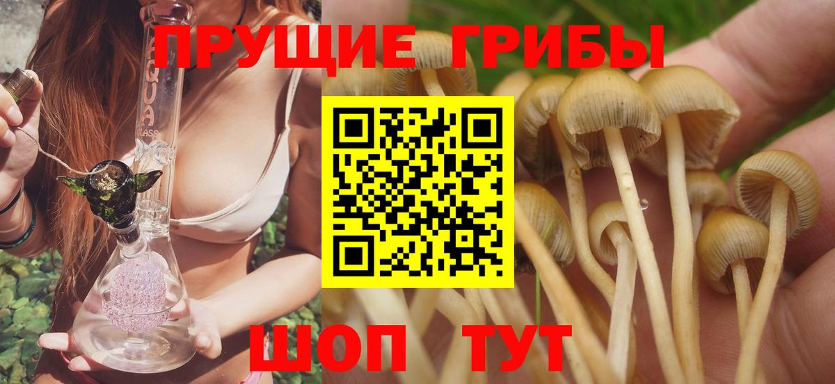Псилоцибиновые грибы Cubensis Россошь